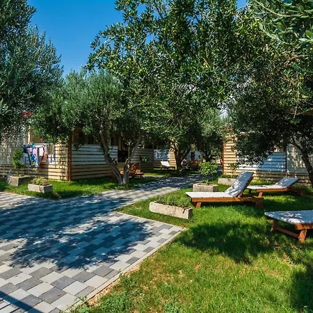 Mobile Pecten 02 Holiday home